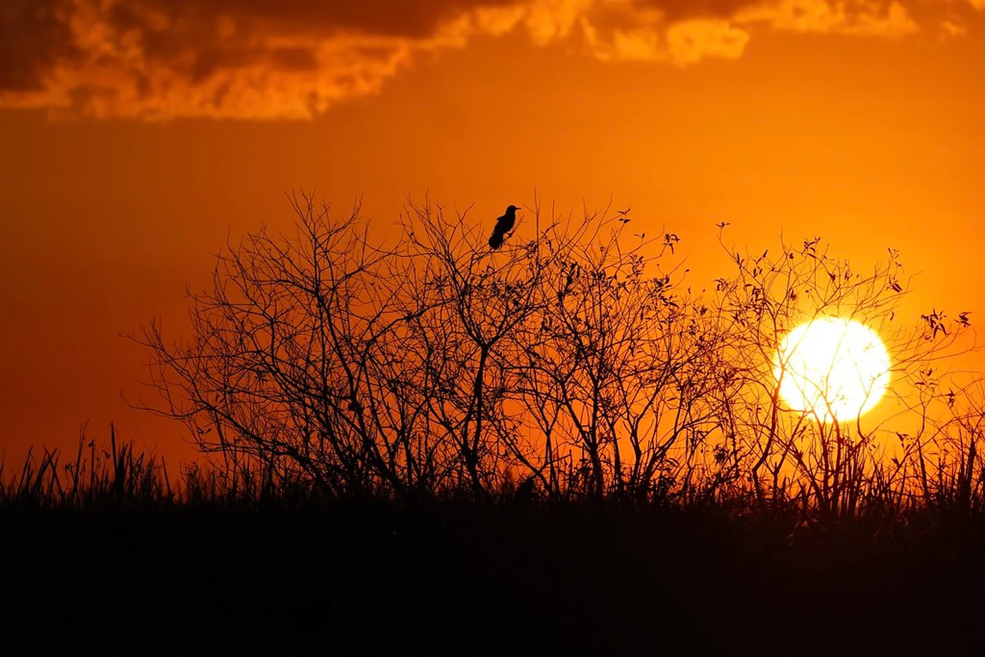 Sundown over the South Florida wetlands