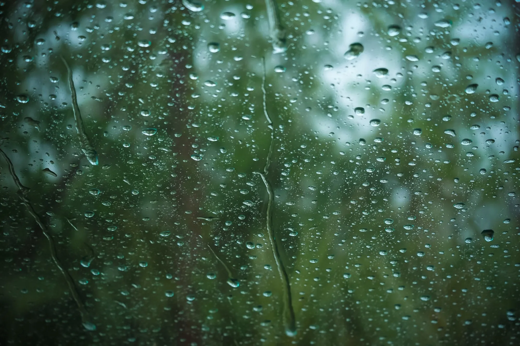 Rain on the glass. Misc photography, South Florida.